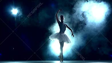 Ballet dancer posing on a studio background, slow