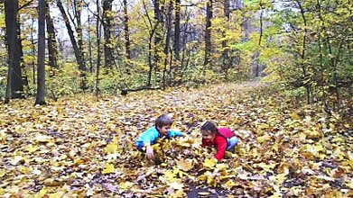 Two kids playing with leafs in the forest