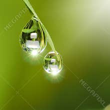 Dew drops with Light Fair