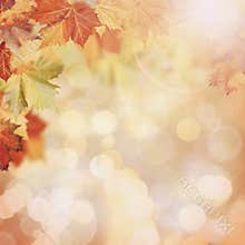 Abstract autumnal backgrounds