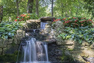 Water-fall in a botanical garden