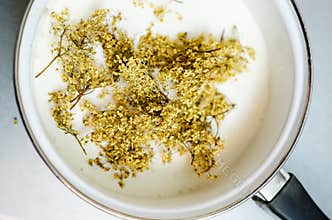 Elderberry flowers ice cream batter