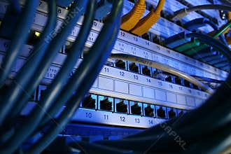 Network cable