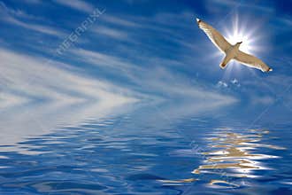 Flight of soul