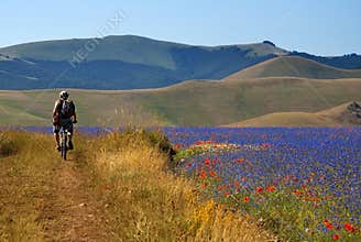 Biking in Castelluccio