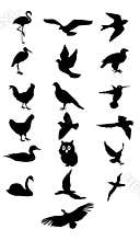 Bird silhouette