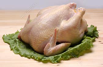 Raw chicken
