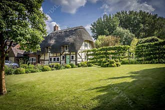 English Village Thatched Cottage and garden