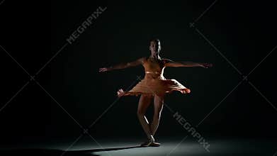 Little cute girl ballerina in dress large hall