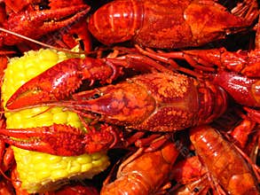 Crawfish Boil