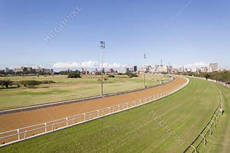 Horse Racing Greyville