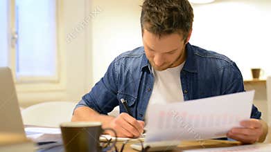 Businessman checking document