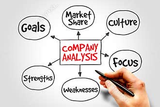 Company analysis