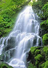 Fairy Falls