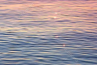 Early evening sun shimmering on calm water