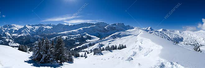 Snow Panorama