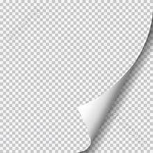 Page curl with shadow on blank sheet of paper