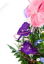 Bouquet of flowers orchid