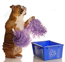 Please recycle
