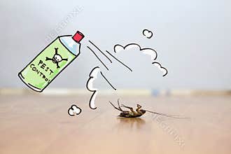 Dead cockroach on floor , pest control concept