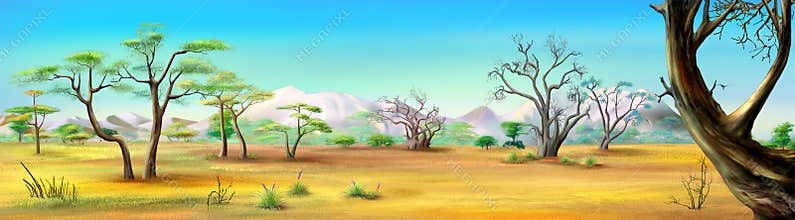 African Savannah. Image One