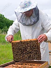 Beekeeper 21