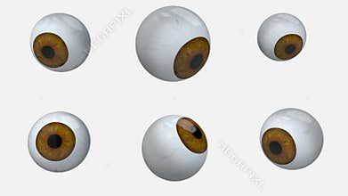Many brown eyes balls rotation