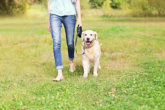 Owner with Golden Retriever dog walking in park