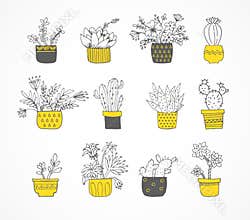 Cute hand drawn cactus set