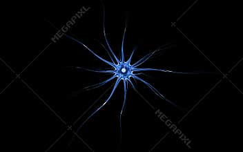Brain impulses. Neuron system. Human anatomy. transferring pulses and generating information