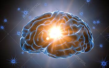 Brain impulses. Neuron system. Human anatomy. transferring pulses and generating information