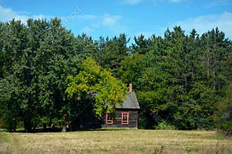 Little House in Woods