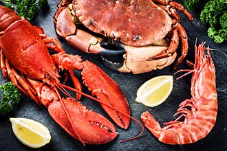 Fine selection of crustacean for dinner. Lobster, crab and jumbo