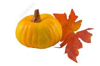 Pumpkin and Fall Leaves