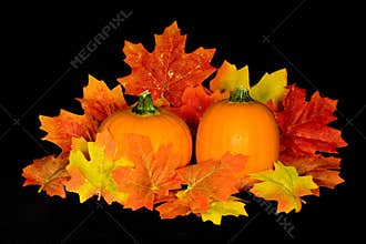 Pumpkin Centerpiece