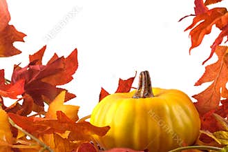 Thanksgiving