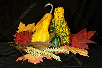 Autumn Centerpiece II