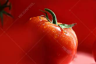 Juicy Tomato