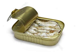 Sardines