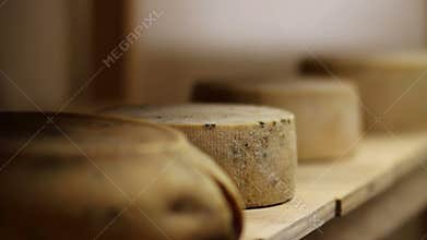 Close up of a woman's hand taking cheese from a shelf in storage room