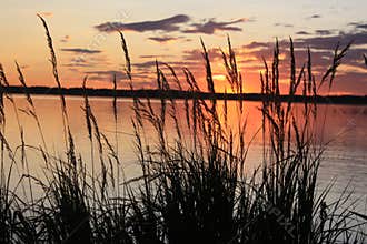 Sun set on the pond