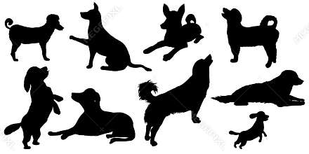 Dog silhouette