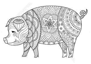 Pig