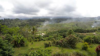 Rice terraced paddy fields in central Bali, Indonesia