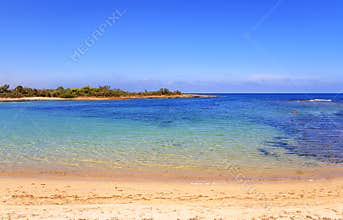 SUMMER.Mediterranean maquis: a nature reserve of Torre Guaceto.BRINDISI (Apulia)-ITALY-
