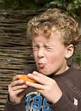 Boy eating Sour Fruit