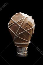 Light Bulb Idea Wrapped