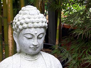 Buddha in Bamboo Garden