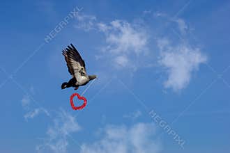 Convey love with flying dove