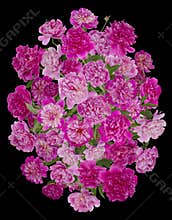 Tragic funeral summer peonies